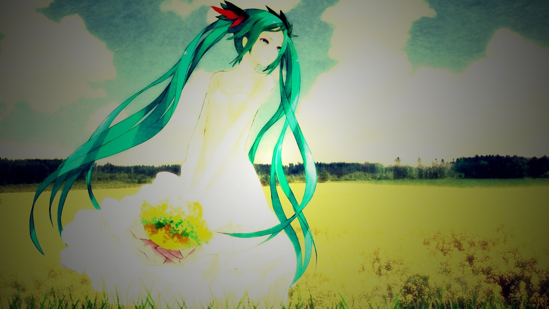 Хатсуне в поле обои