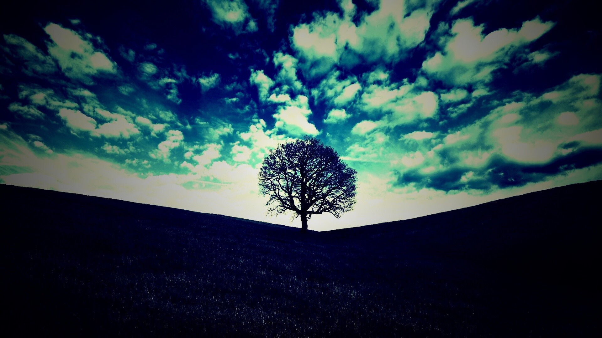Холм одинокого дуба обои