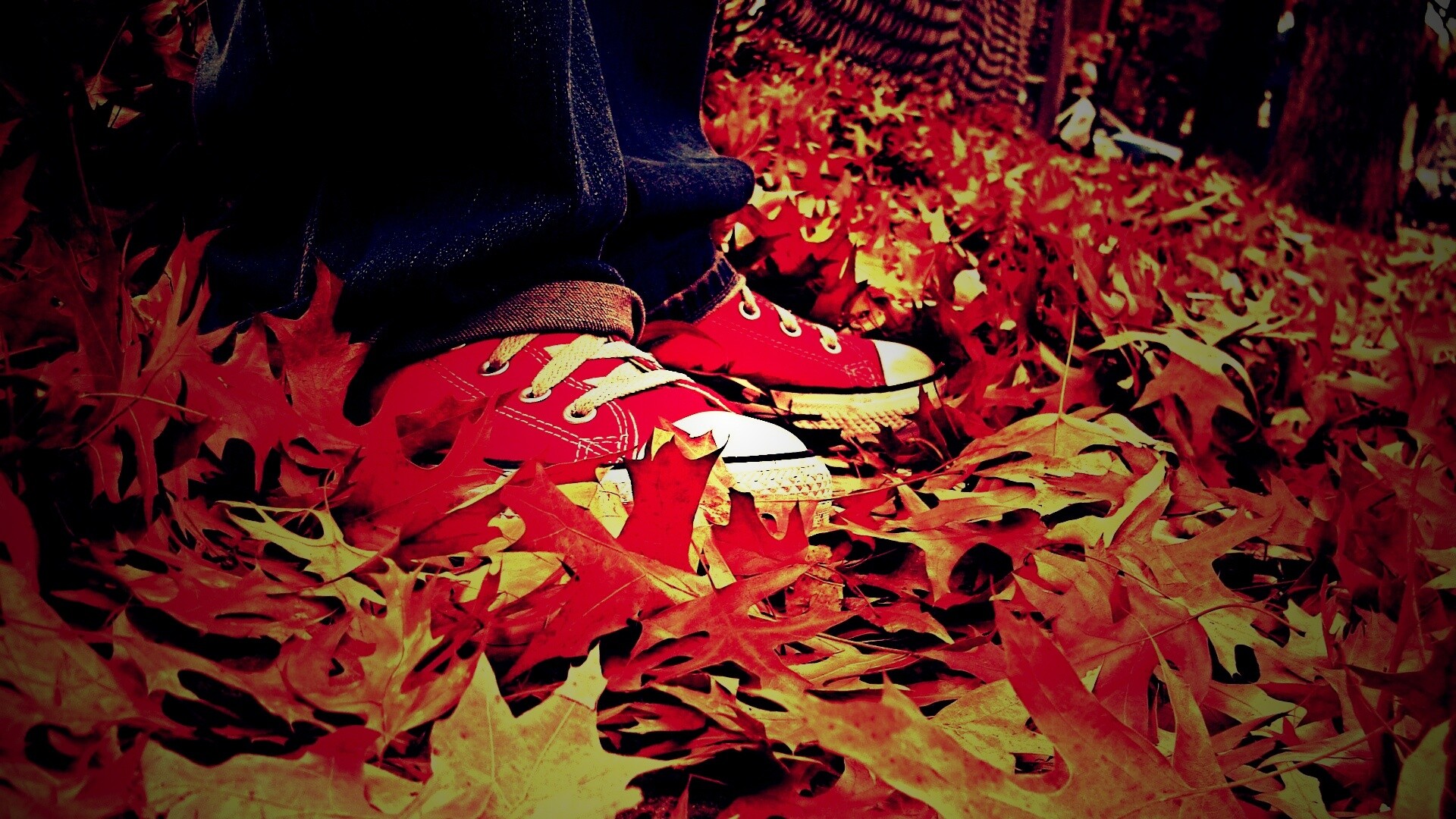 Оранжевые кеды обои