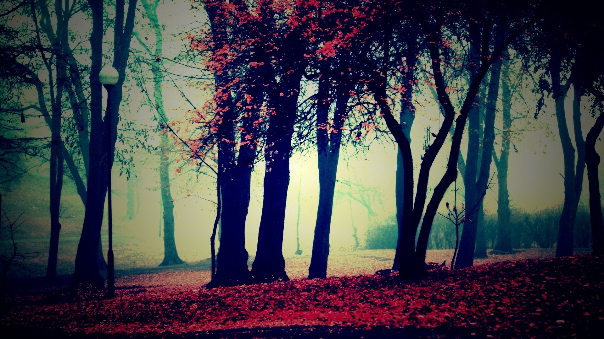 Парк красных листьев обои