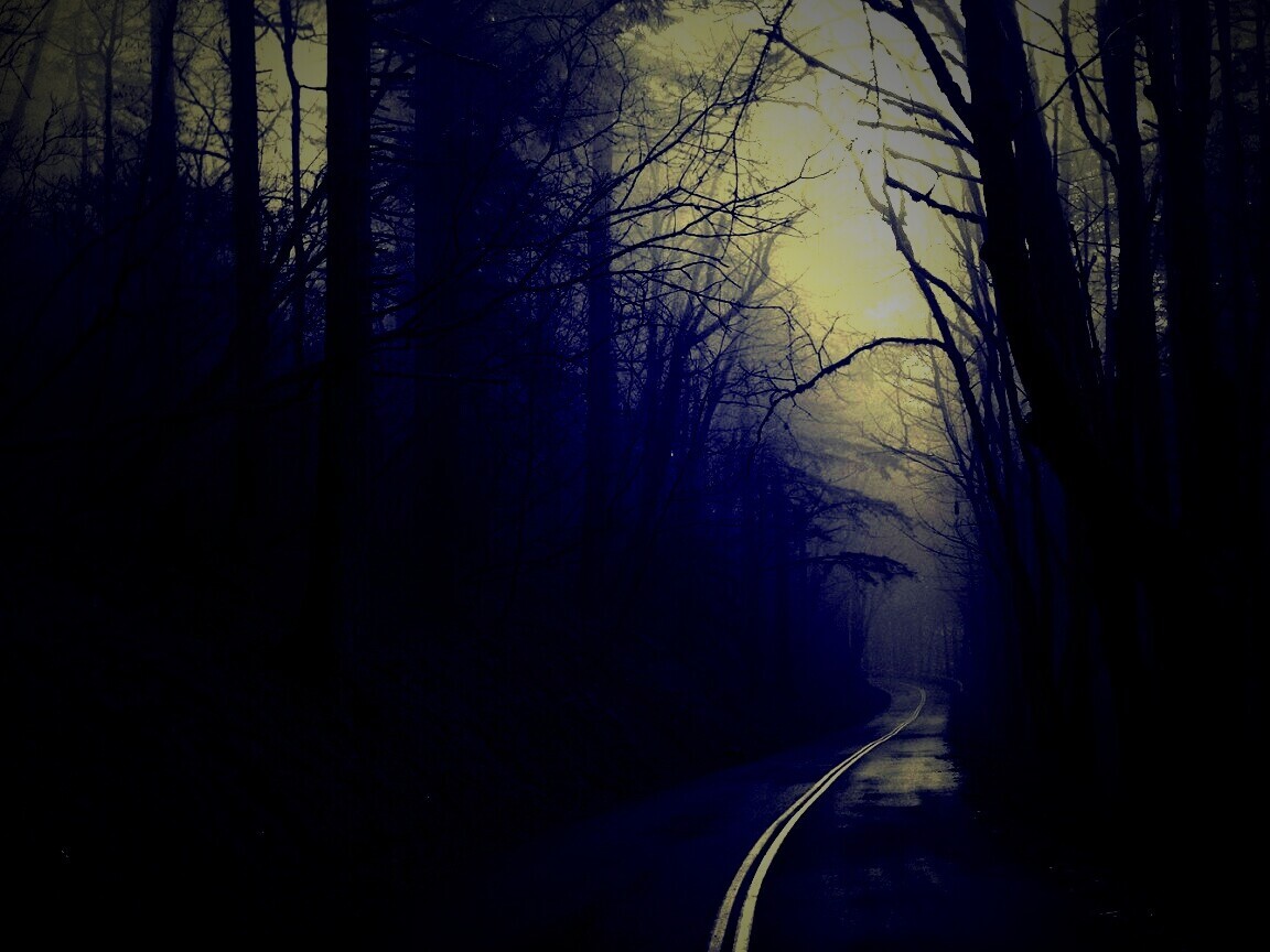 В туман обои