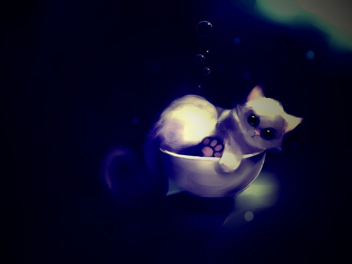 Котёнок в миске обои