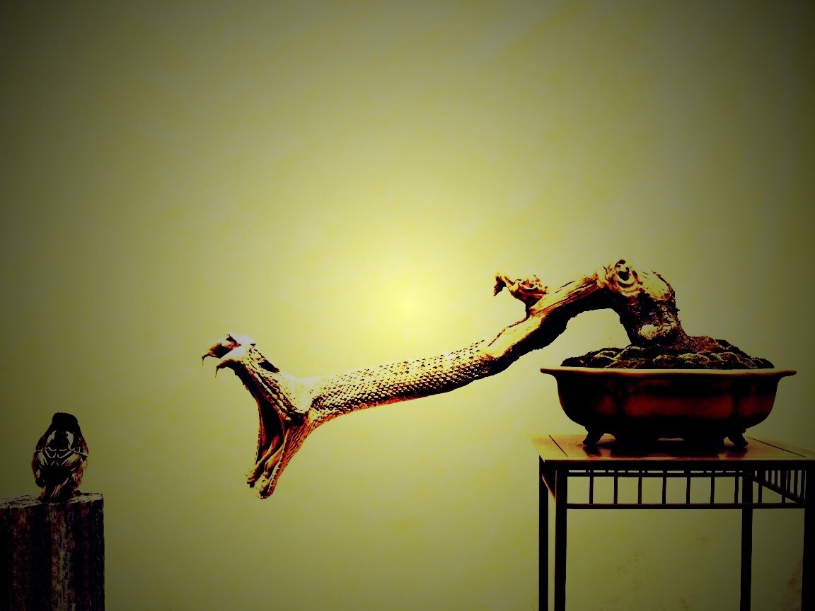 Змея-коряга напдает на птичку обои