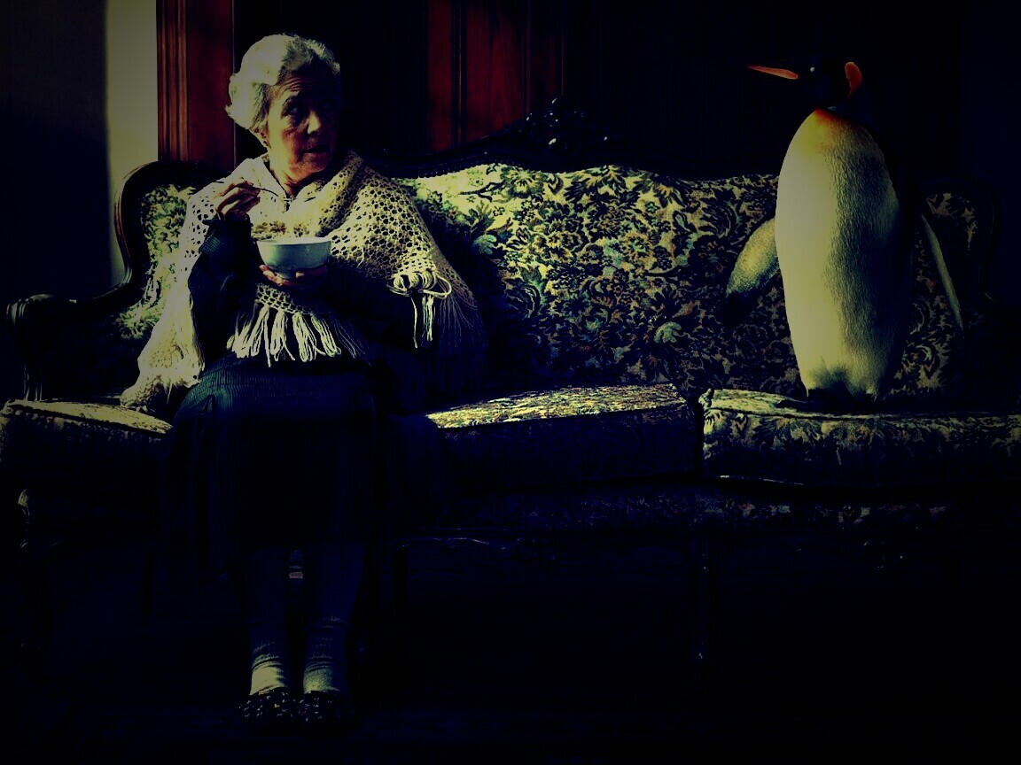 Соседи по дивану обои