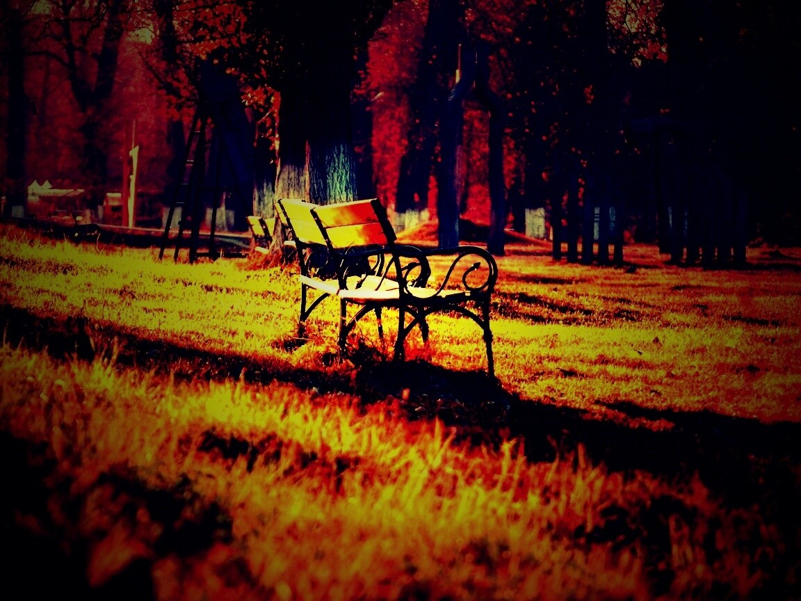 Скаймейка в осеннем парке обои