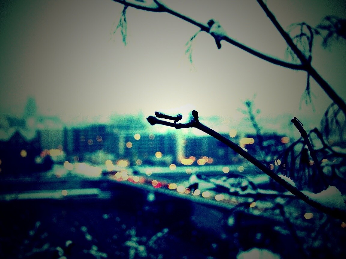 Зима в городе обои