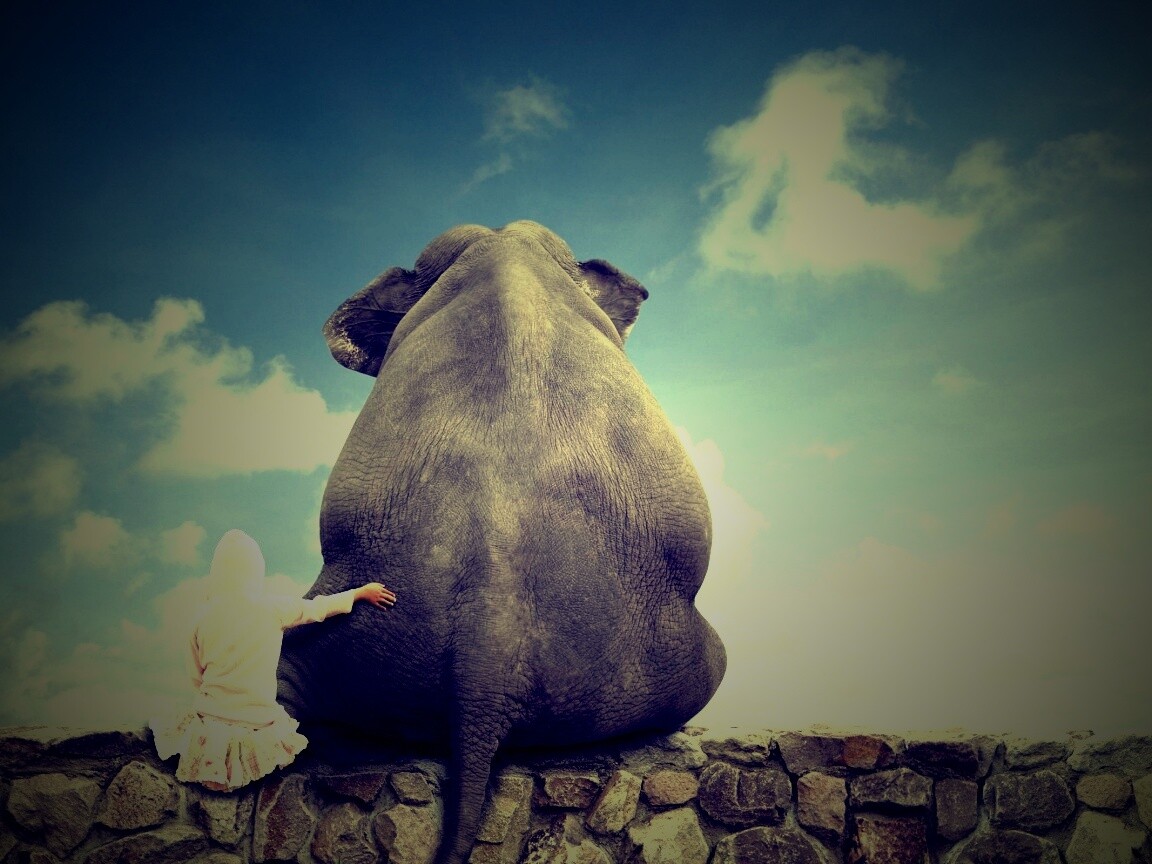 Девочка и слон обои
