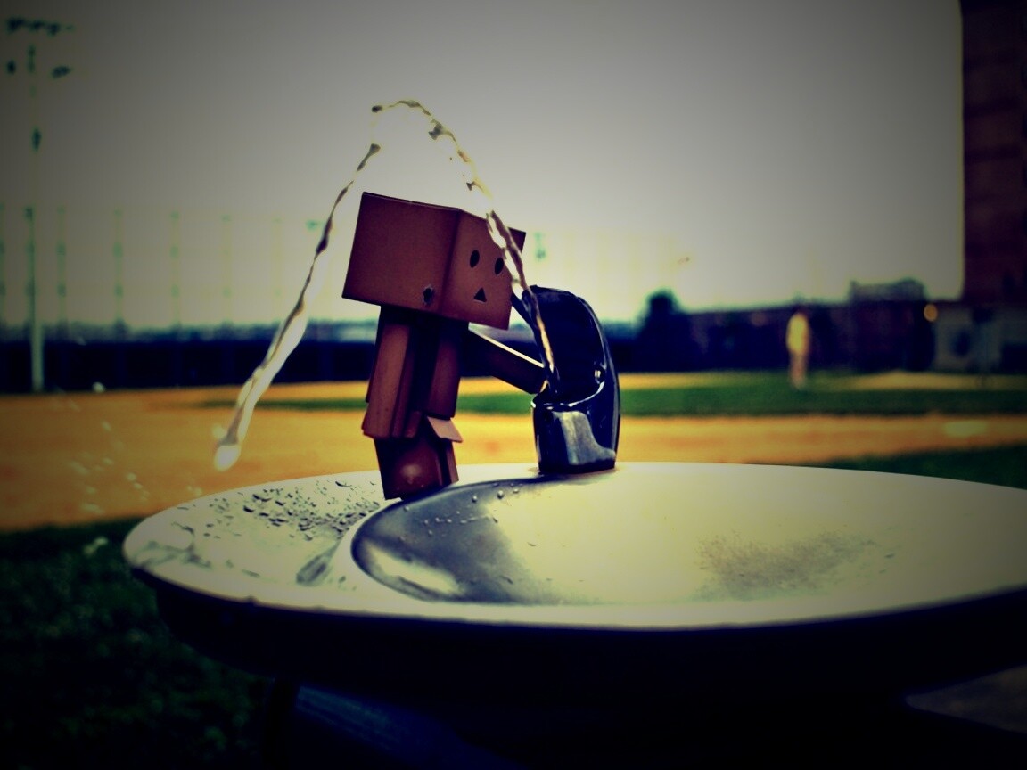 Дандо пьет в воду из фонтанчика обои