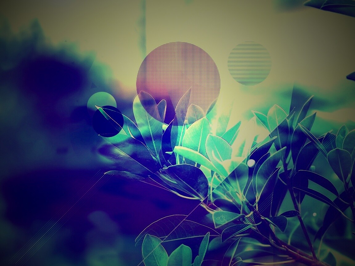 Синий фильтр с кргуами на фото листьев обои