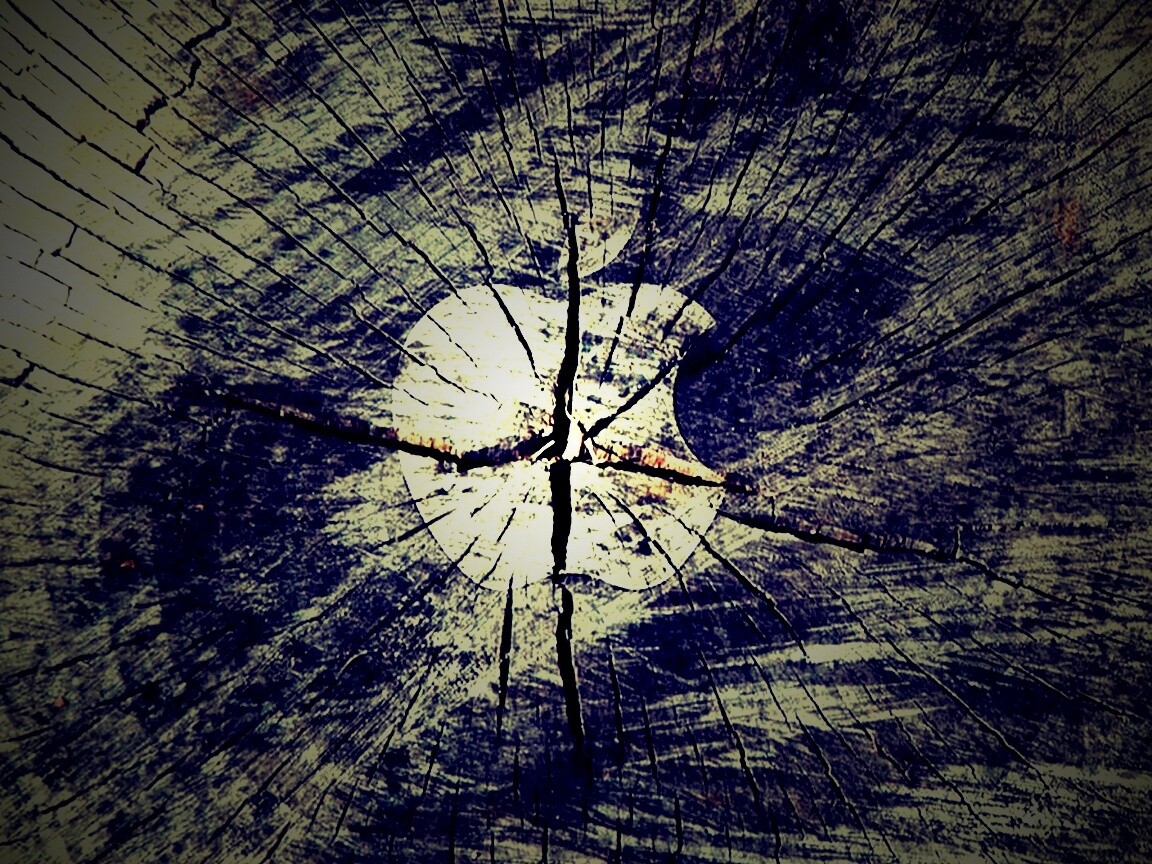 Логотип Apple на бревне обои