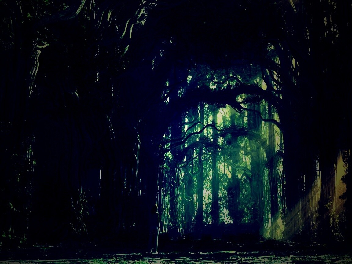 Одна в сумеречном лесу обои