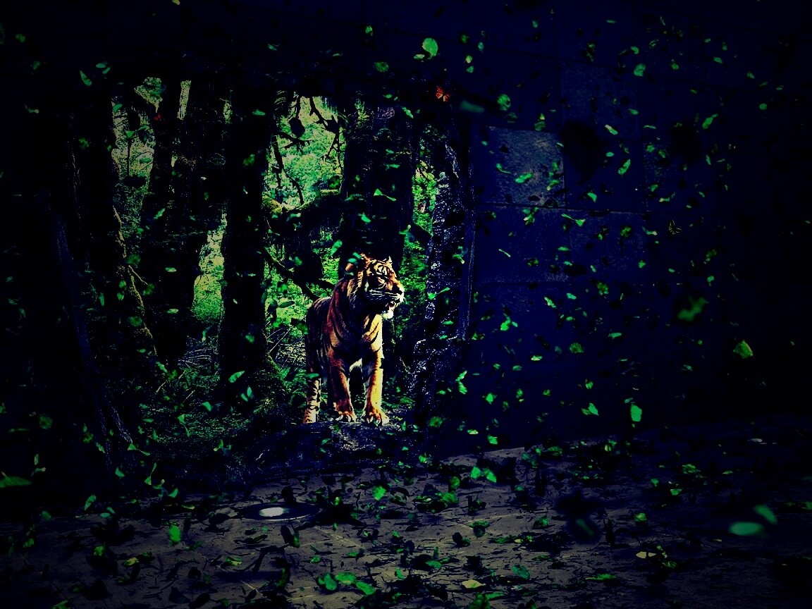 Портал в джунги обои