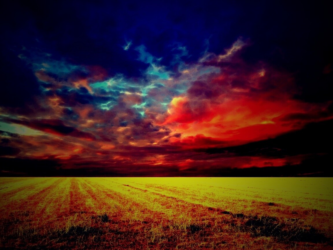 Тучи над желтым полем обои