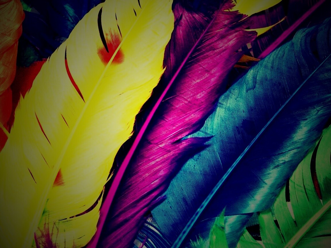 Разноцветные перья обои