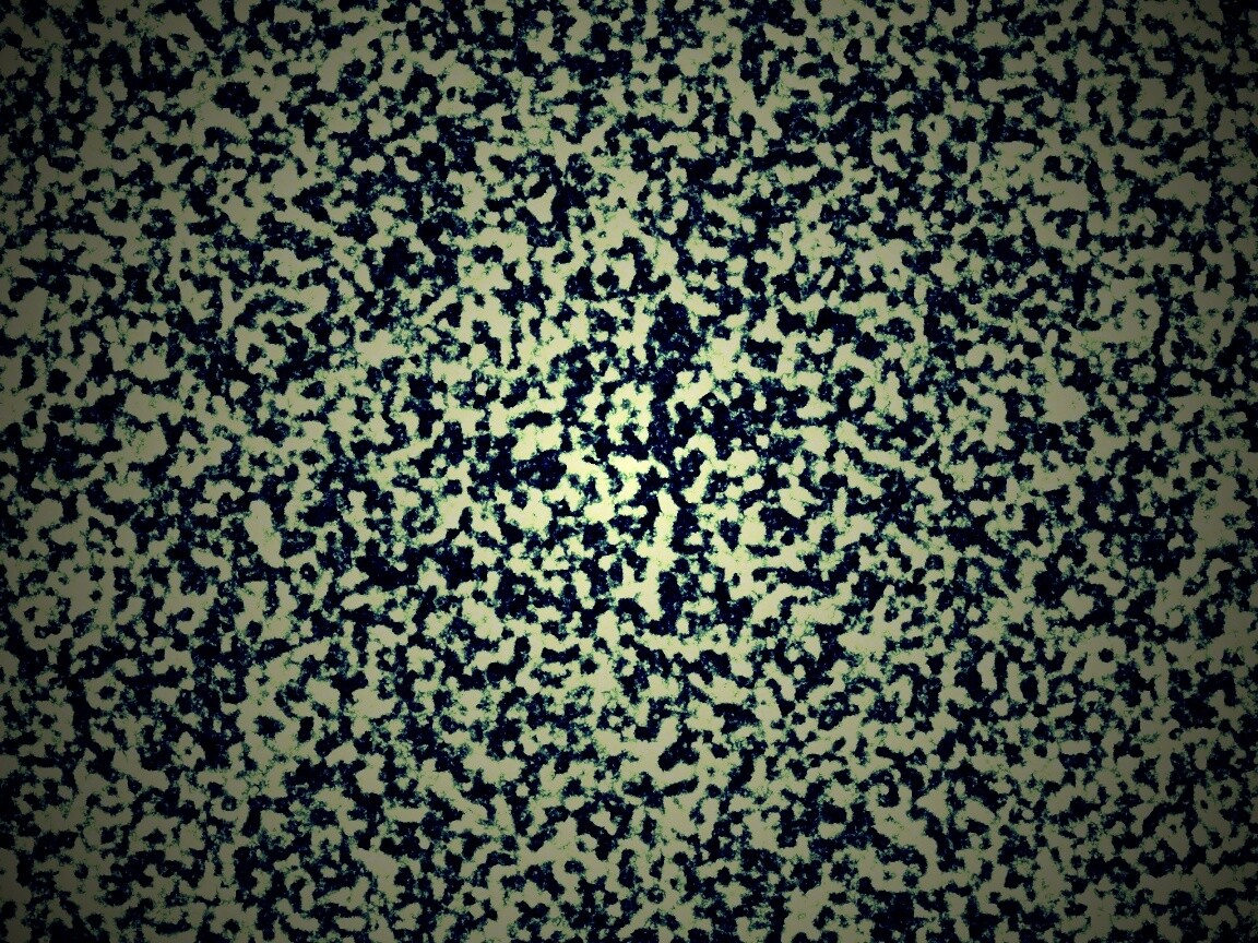 Черно-белый ковролин обои