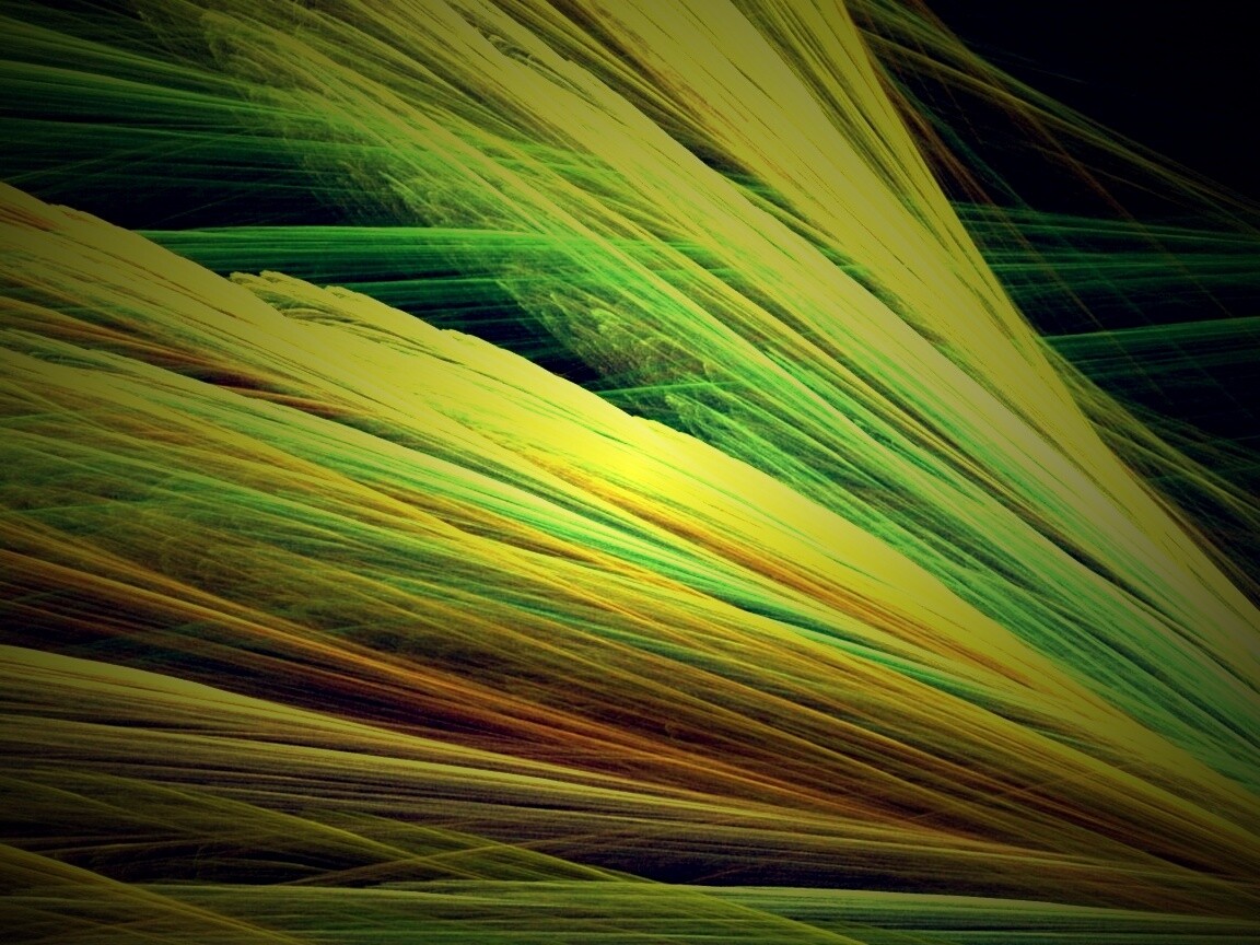 Прозрачные зеленоватые крылья обои