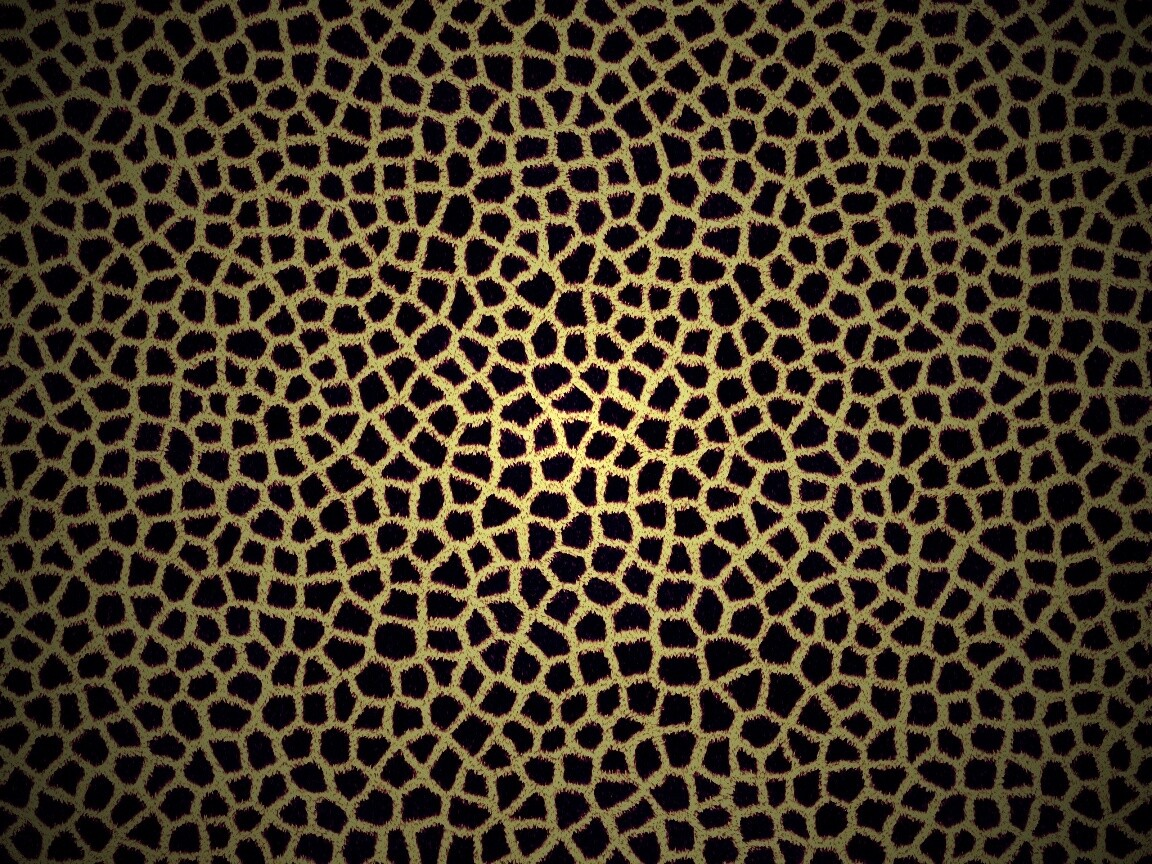 Текстура шкуры жирафа обои