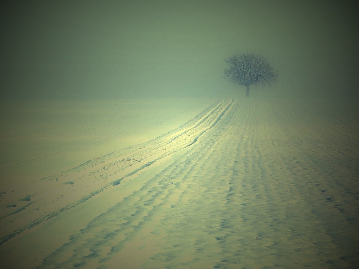 Заснеженное поле обои