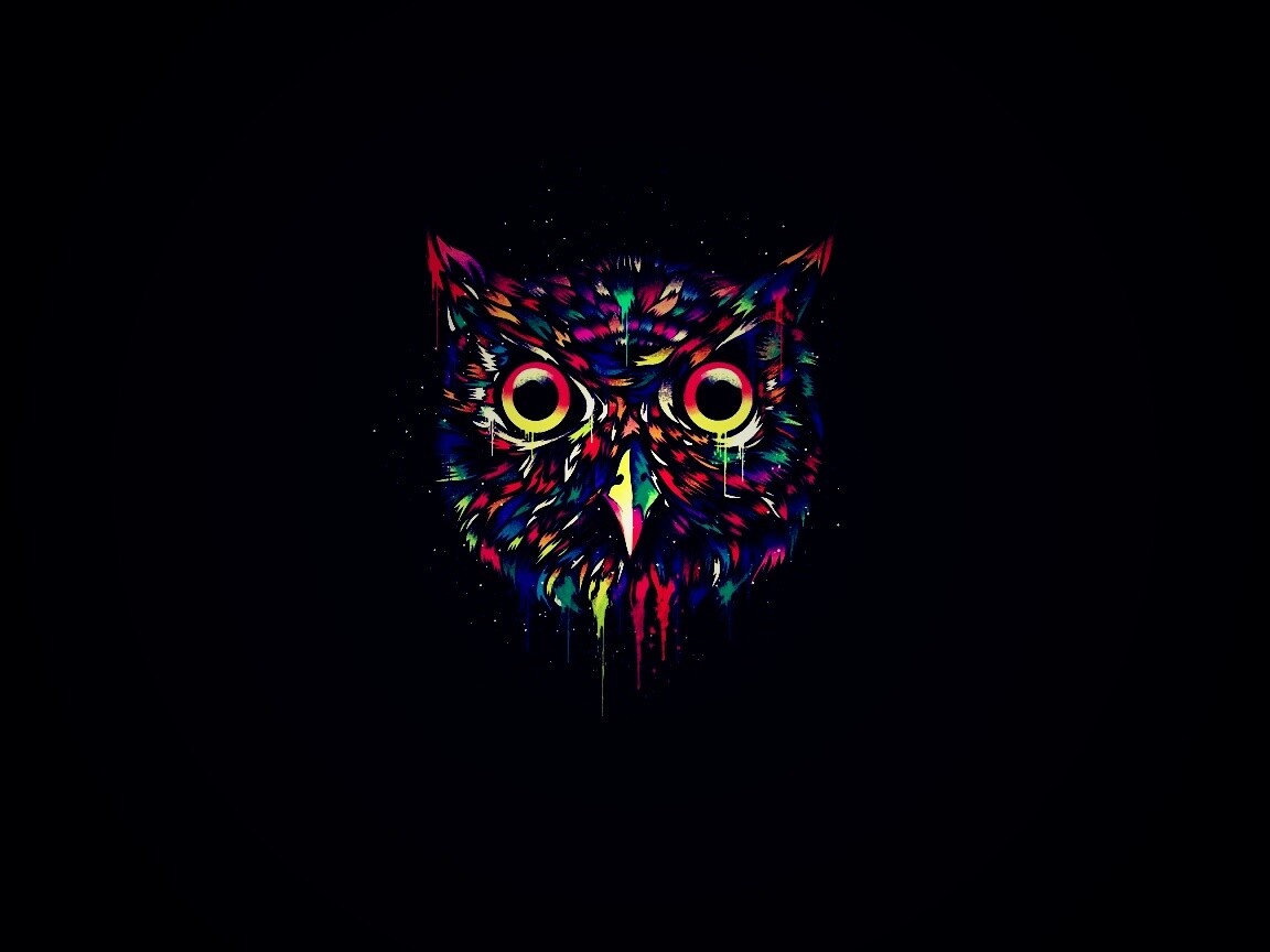 Векторная совиная голова обои