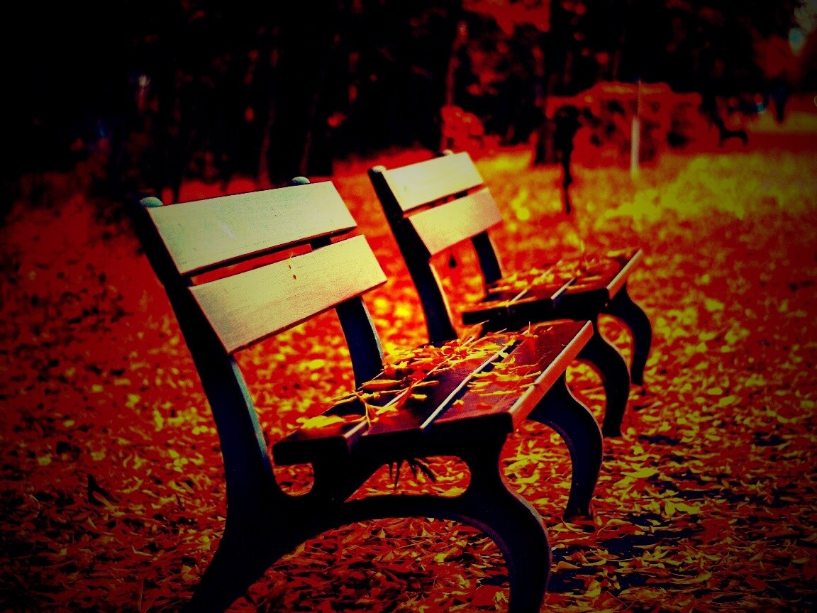 Лавочки в осеннем парке обои