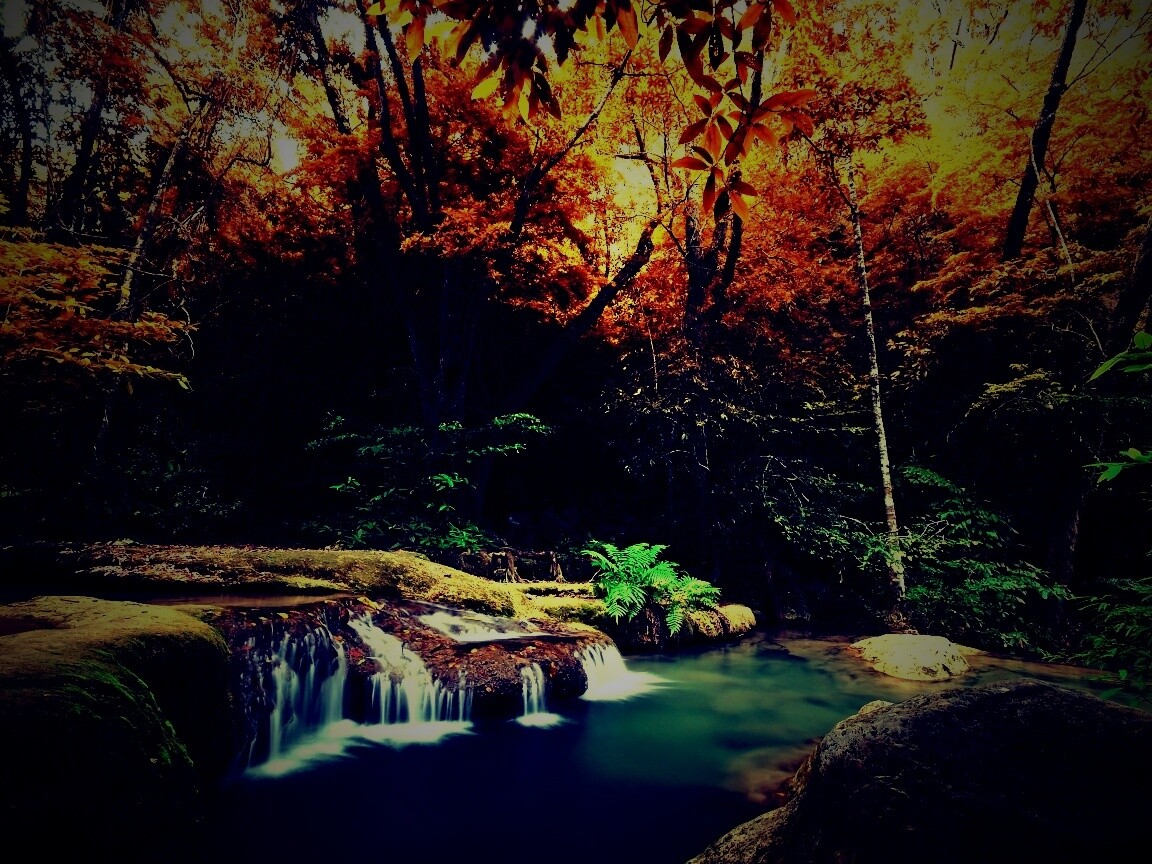 Водопадик в осеннем лесу обои