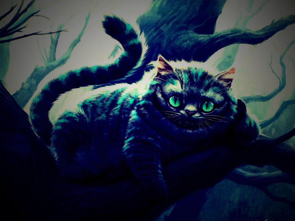 Чеширский кот обои