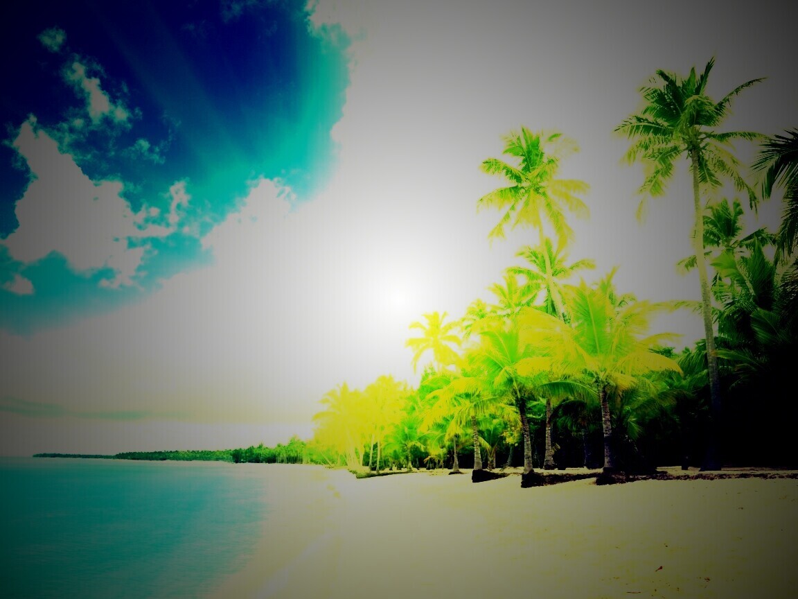 Тропическое побережье обои