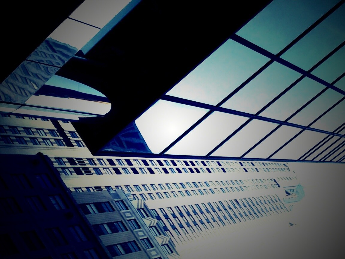 Взгляд вверх обои