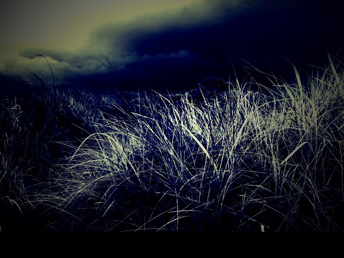 В ожидании шторма обои