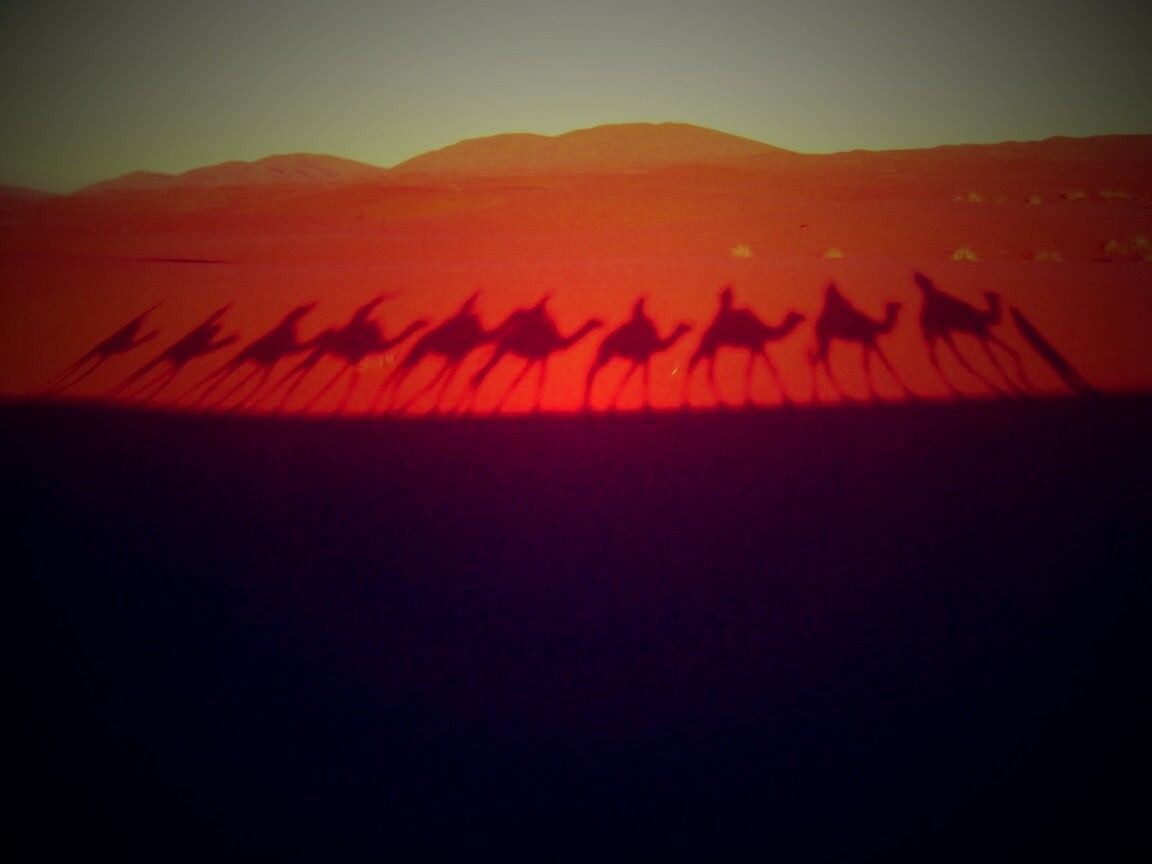 Караван обои