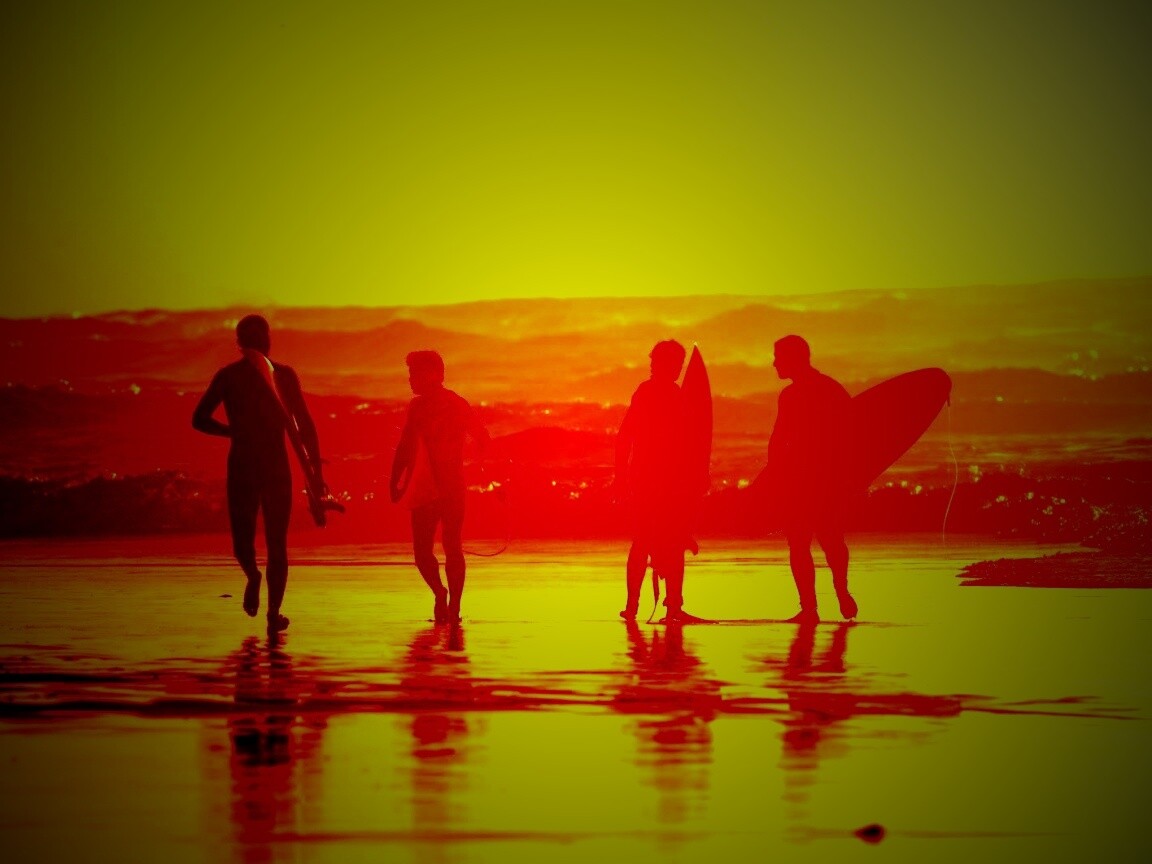 Серфингисты обои