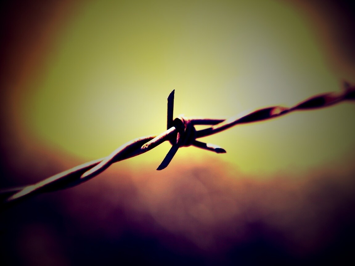 Фото колючей проволоки обои