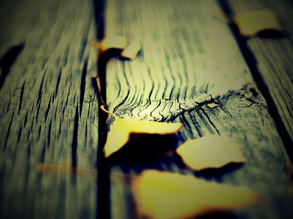 Листья на дощатом полу обои