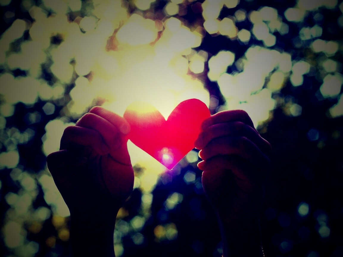 Бумажное красное сердце обои