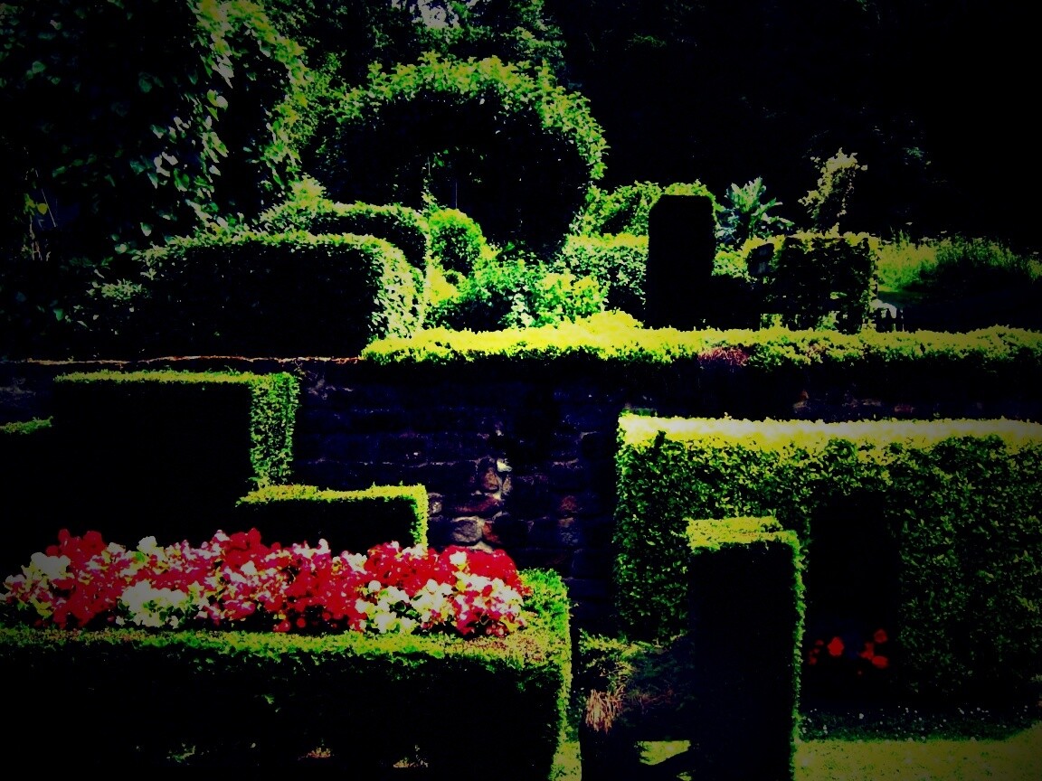 Декоративный сад обои