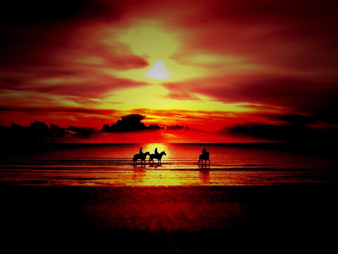 Наездники на закате обои