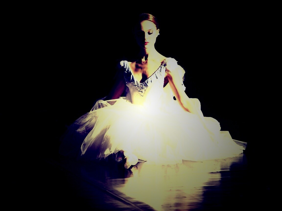 Черный лебедь обои