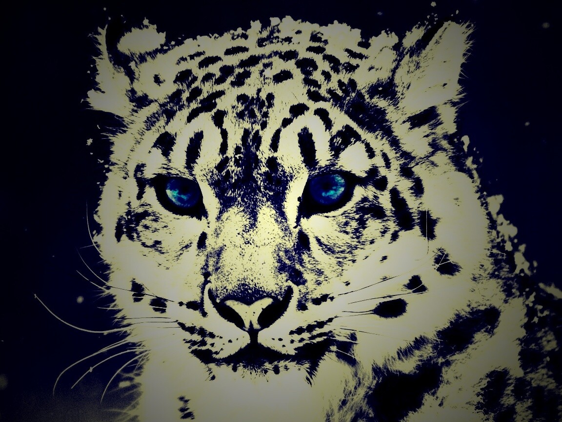 Снежный барс обои