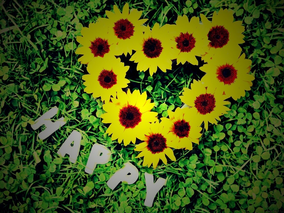 Радость обои