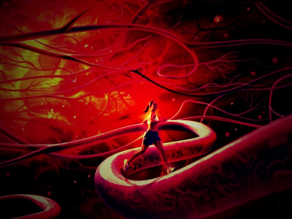 Бег крови обои