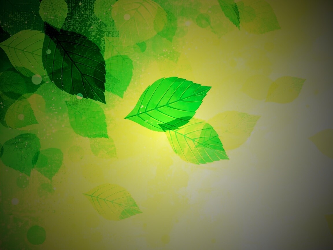 Прозрачные листья обои