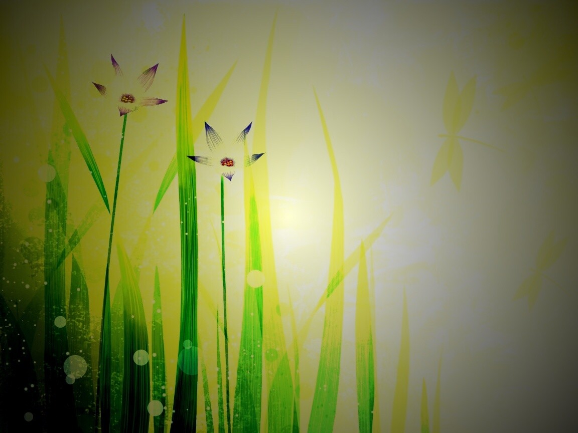 Векторные цветы обои