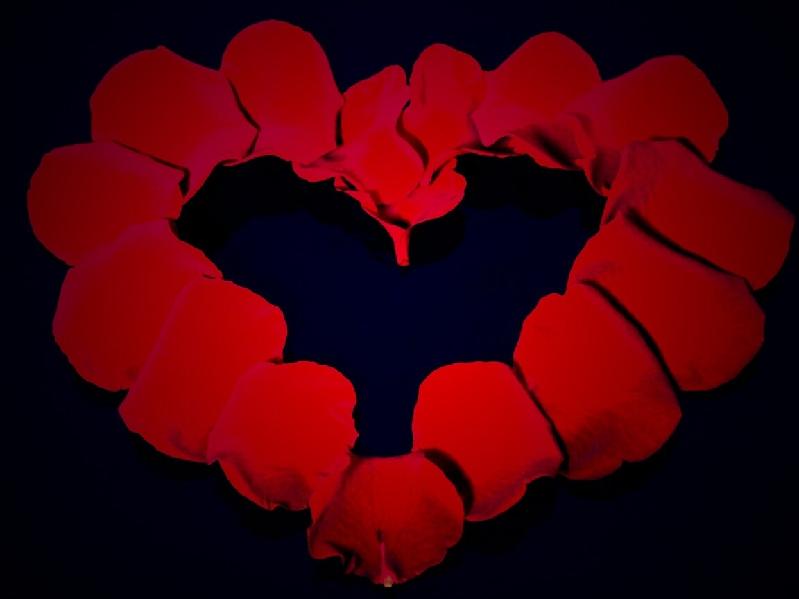 Красивое сердце обои