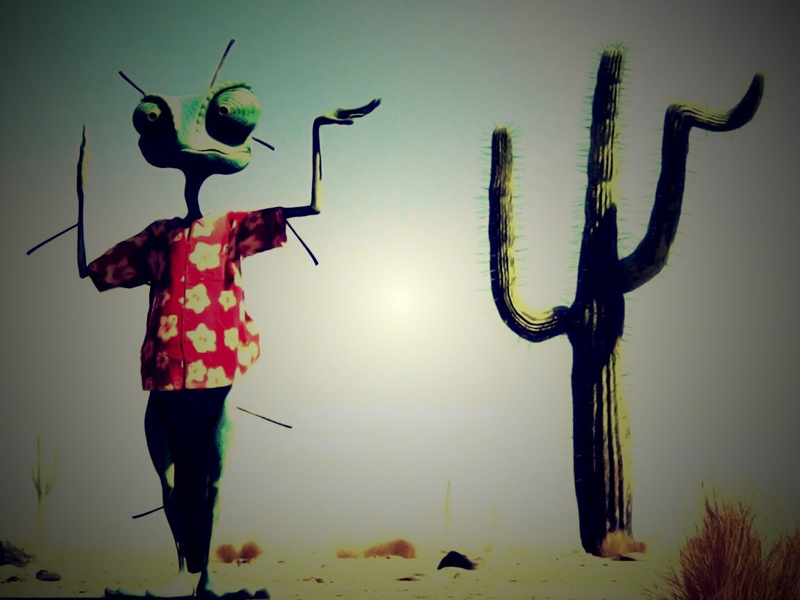 Ранго и кактус обои