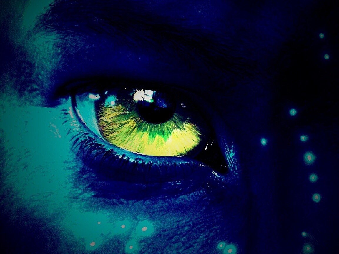 Смотрит прямо в душу обои