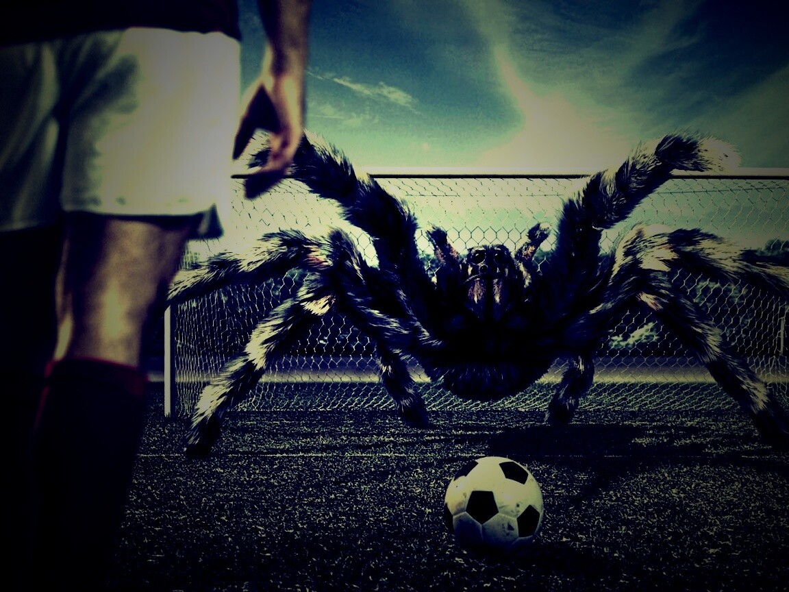 Вратарь обои