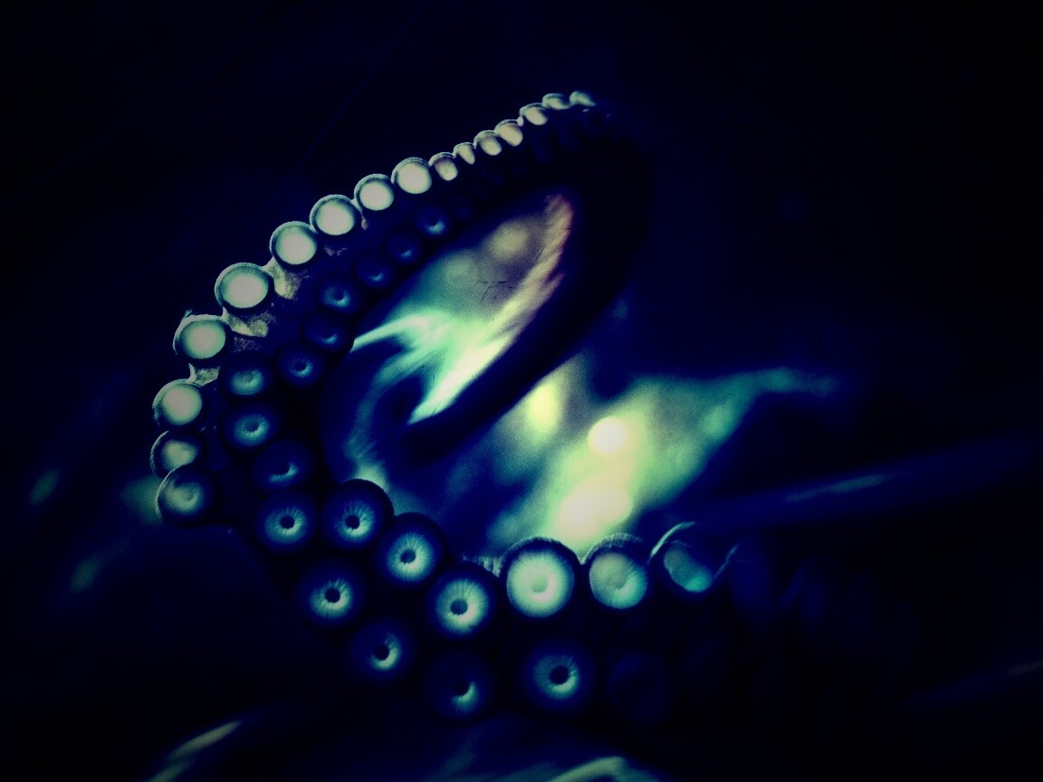 Щупальце обои