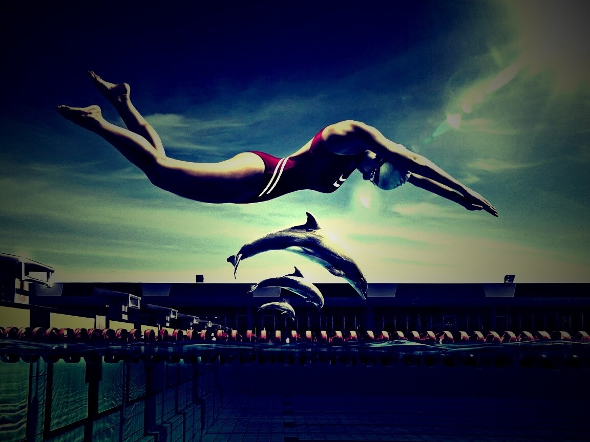 Соревнование обои