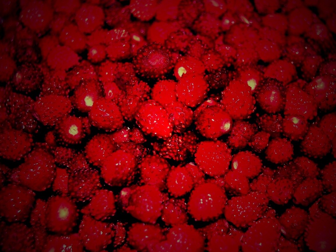 Земляника обои