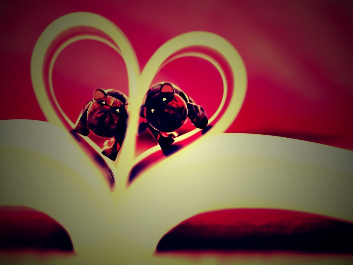 Фигурки мишек в книге обои